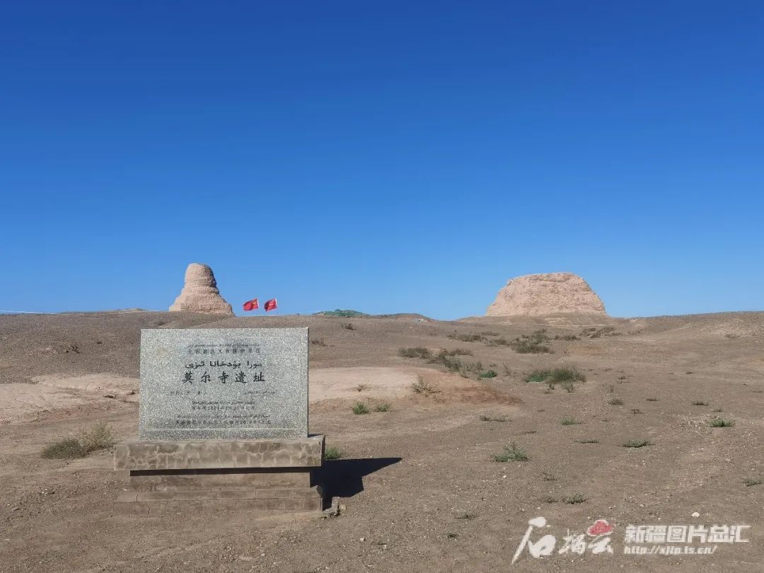 威廉希尔中文官网